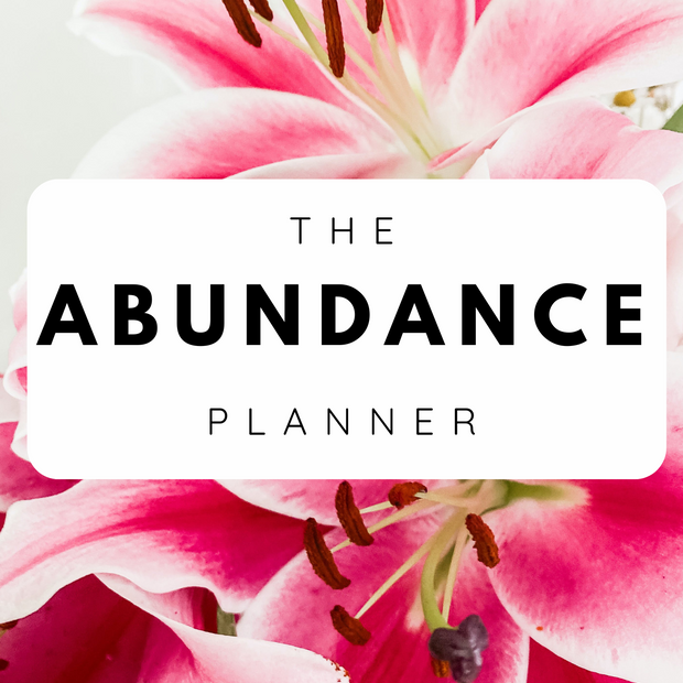 The Abundance Planner